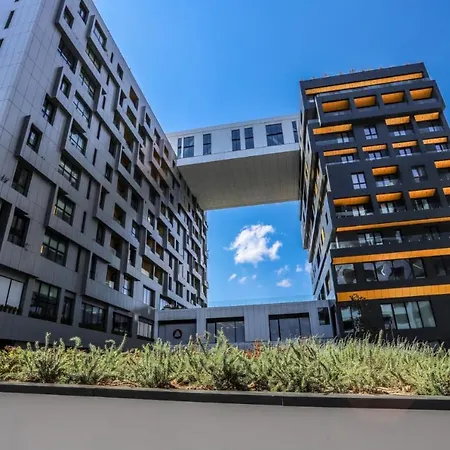 Square 21 Number 8 Tiran