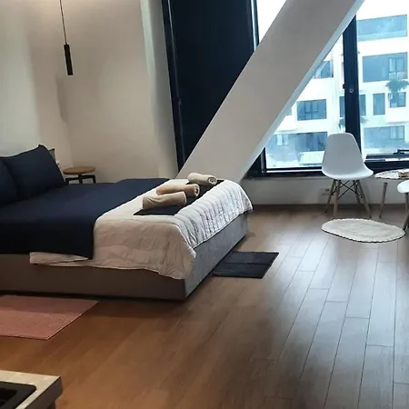 Square 21 Number 8 * 티라나